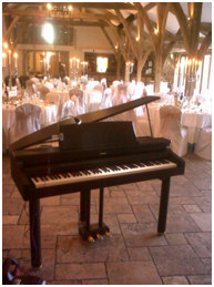 grand-at-reception.jpg - 23337 Bytes